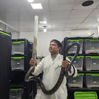 Mohammed Noman