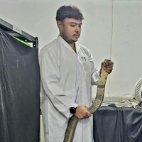 Mohammed Noman
