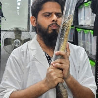 Md. Rafiqul Islam